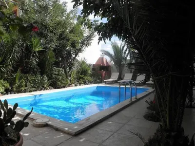 Danae Villa