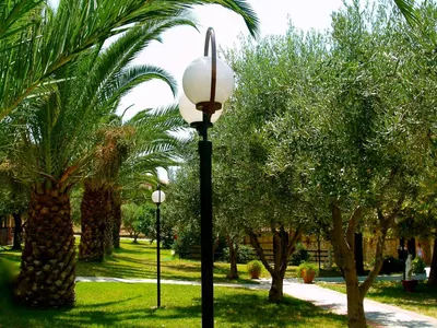 VILLAGE MARE HOTEL