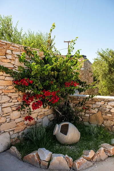 Villa Vanta Paros