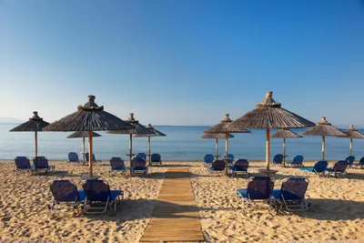 Blue Dolphin Hotel Chalkidiki