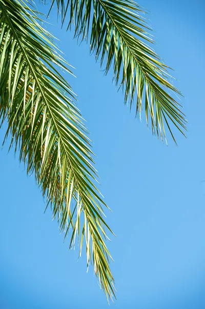 Hotel Sissy Kamena Vourla