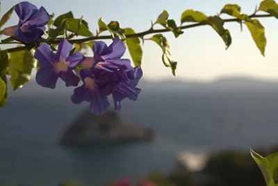 Eirini Luxury Hotel Villas