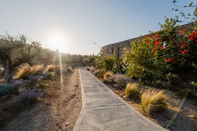 Oliving Mykonos Suites