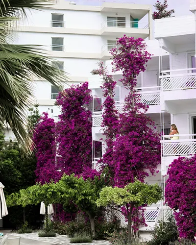 Marathon Beach Resort