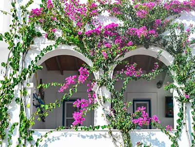 Bocamviglies by The Sea