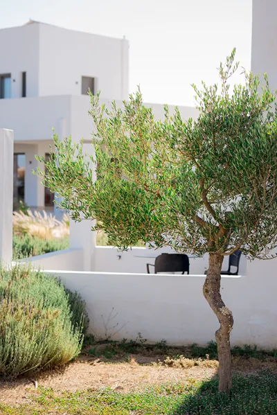 Sundunes Hotel