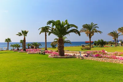 Rodos Palladium Leisure & Wellness
