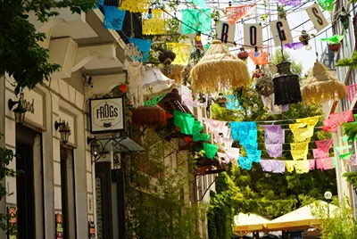 The Frogs Guesthouse