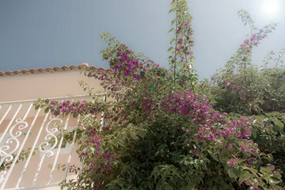 Zefyros Eco Resort Hotel - Zakynthos