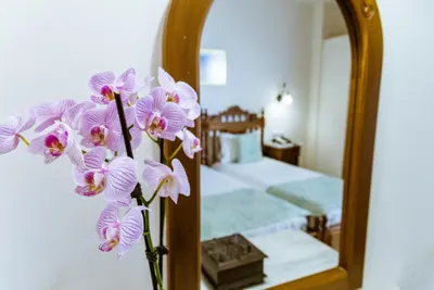 Anais Collection Hotels & Suites