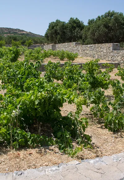 Esperides Stone Houses