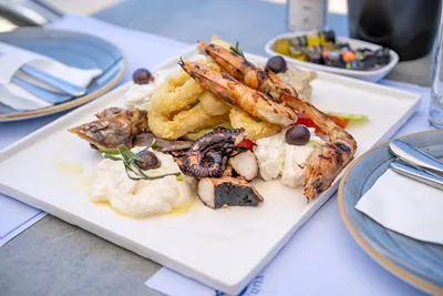 Blue Dolphin Hotel Chalkidiki