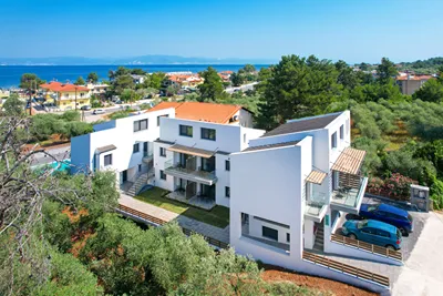 Olive Roots Thassos