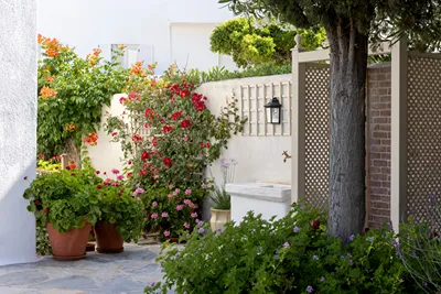 Despotikon Hotel Mykonos