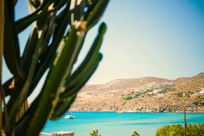 Seaside Studios & Houses Mykonos