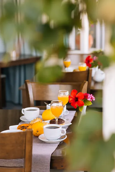 Oasis Hotel Scaleta Rethymno