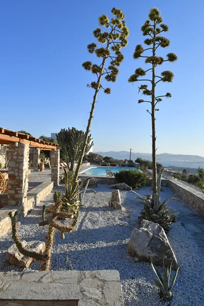 Mythic Paros, Adults - Only