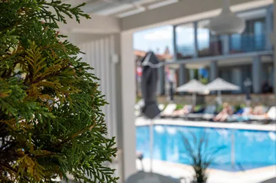 Dionysos Hotel & Studios Chalkidiki