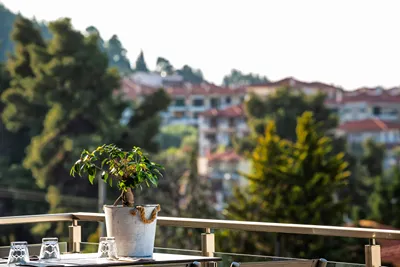 Kriopigi Hotel Chalkidiki