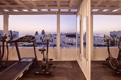 Adonis Hotel Mykonos