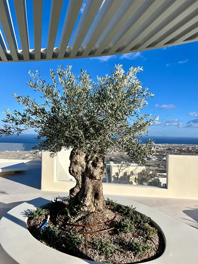 MOD Santorini