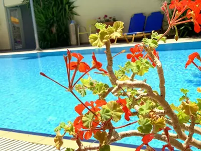 Kassavetis Center - Hotel Studios & Apartments