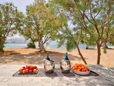 Psathi Beach House