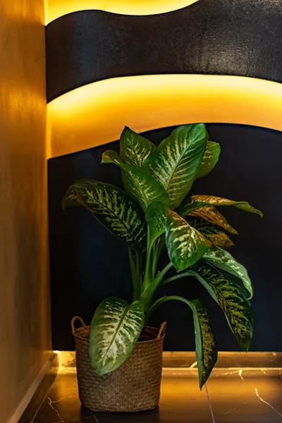Santo Mangata Boutique Hotel & Spa