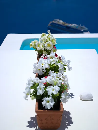 Alexander Villas Santorini