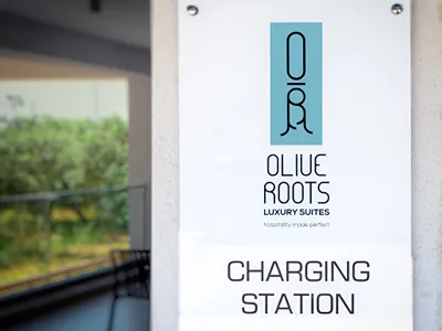 Olive Roots Thassos