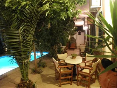 Danae Villa