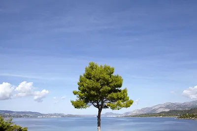 Thalassa Boutique Hotel Kefalonia
