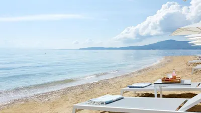 Nido, Mar-Bella Collection