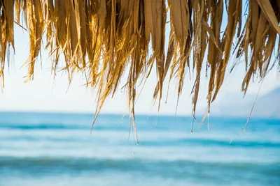 Thalassa Apartments Chania