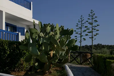 Agionissi Resort Chalkidiki