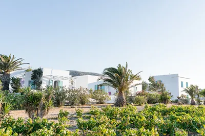 Kostantakis Winery & Residence