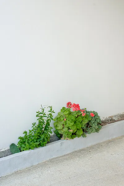 Poema Antiparos