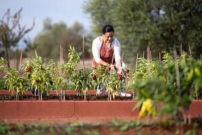 Eumelia Organic Agrotourism Farm