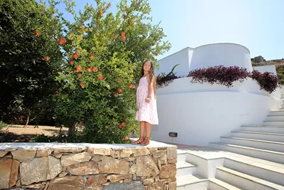 Villa Paradise Naxos