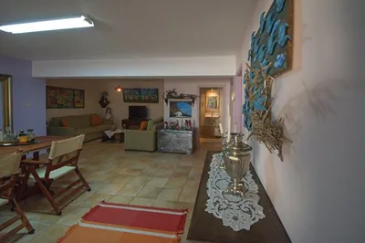 Anemohadi