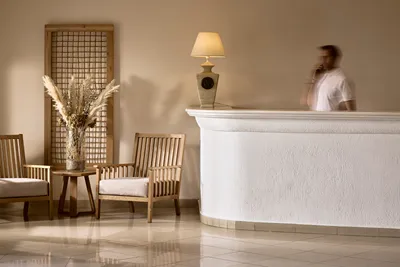 Adonis Hotel Mykonos