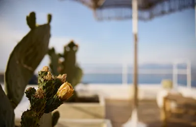 Niove Suites Milos