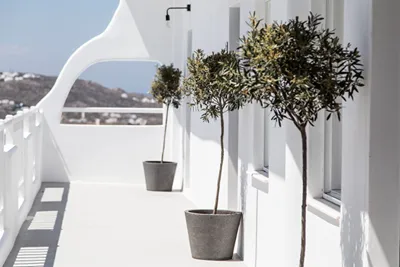 My Mykonos Boutique Hotel by Mr and Mrs White