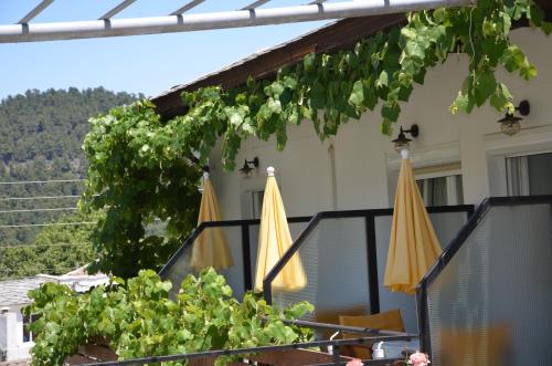 Theo Hotel
