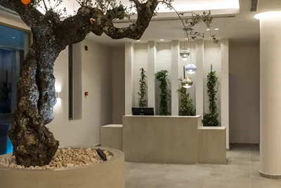 Tsamis Zante Suites
