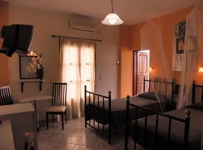 Danae Villa