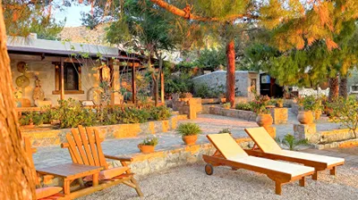 Stella’s Traditional Inn