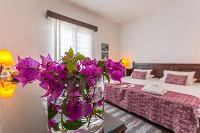 Agionissi Resort Chalkidiki
