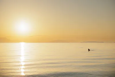 Elea Beach Hotel Corfu