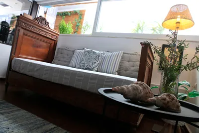 Amaryllis Hotel
